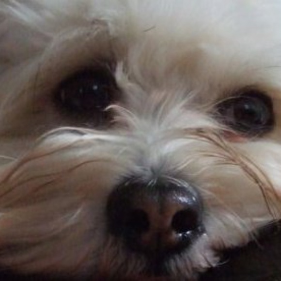 ❤Offers Welcome❤️ - Picture 5 of 11